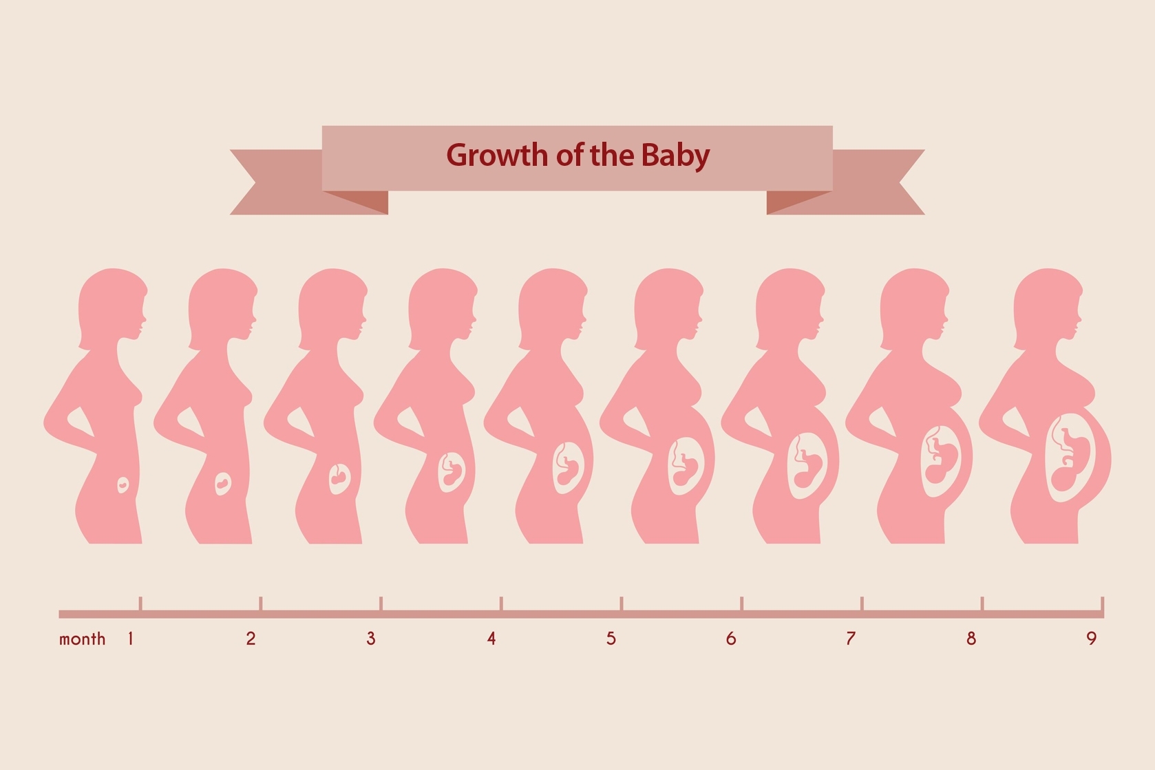 Teen Pregnancy Teen Moms Fetal Development Positive Parenting American SPCC