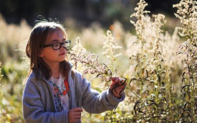 Children and Nature: Are We Supporting the Connection?