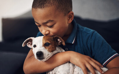5 Factors to Consider When Selecting the Perfect Emotional Support Animal for Your Child